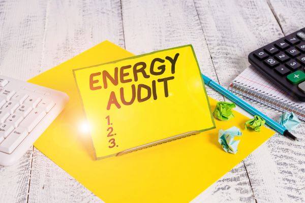 Energy Efficient Audit Service